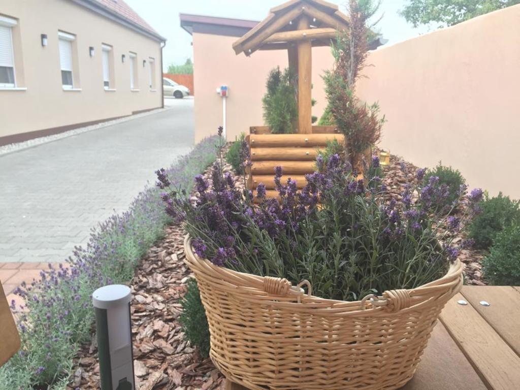 Levendula Vendeghaz Hotel Gyor Exterior photo